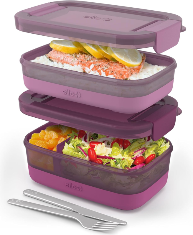 2-Pack Plastic Storage Bento Box