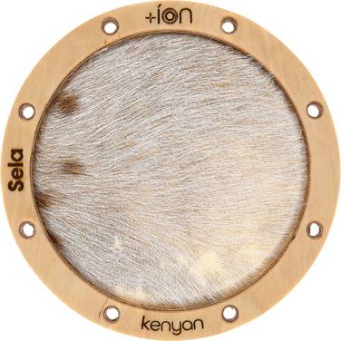 SE-ION4