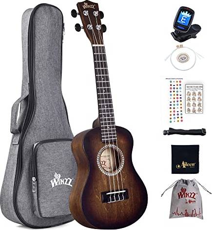 Winzz Ukulele Concert 23 Inch Brown Kit