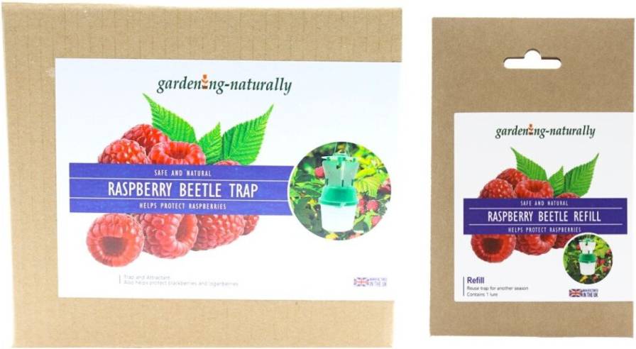 Gardening-Naturally Raspberry Beetle Trap and Refill