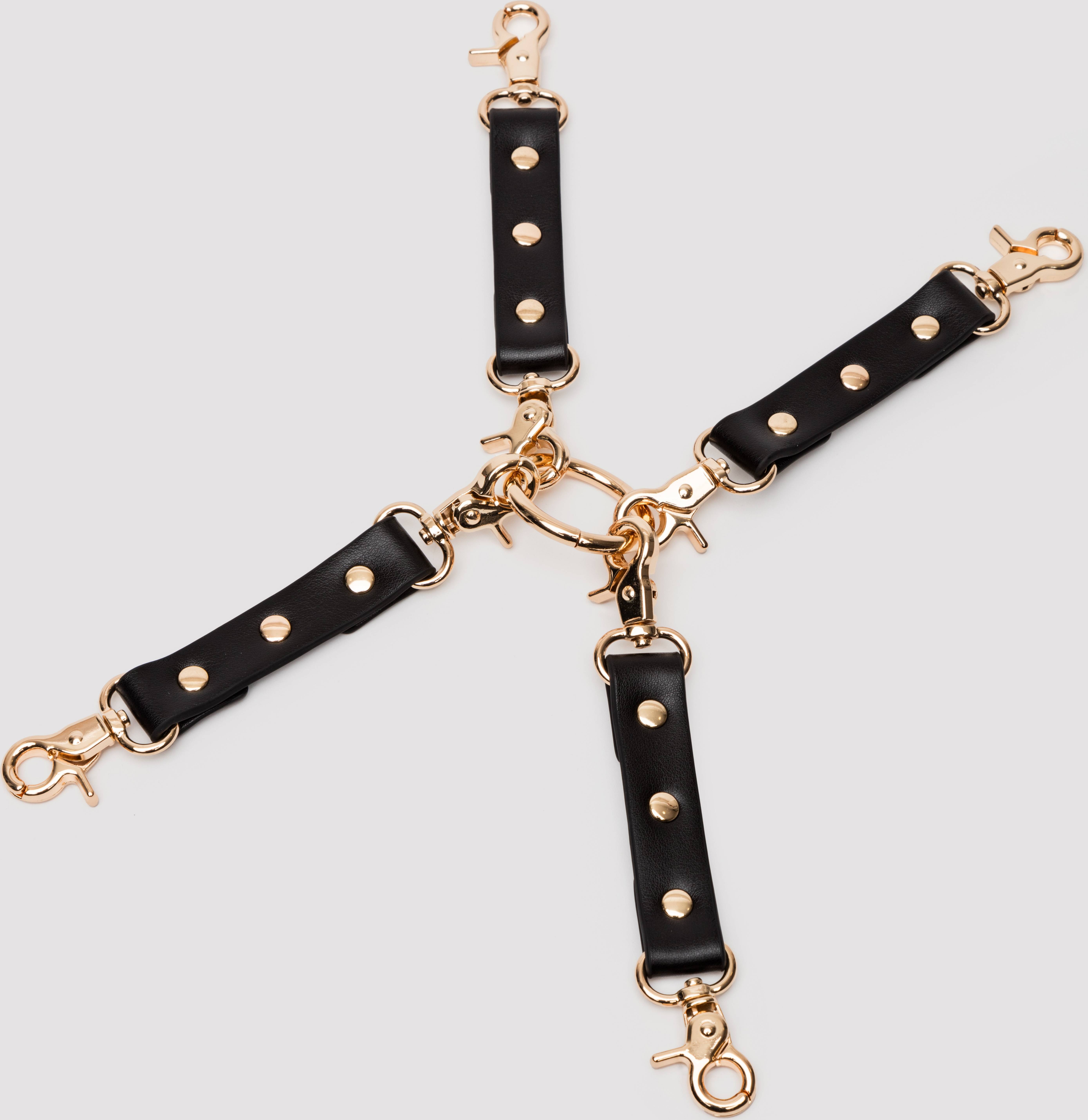 Wild Roses Hogtie