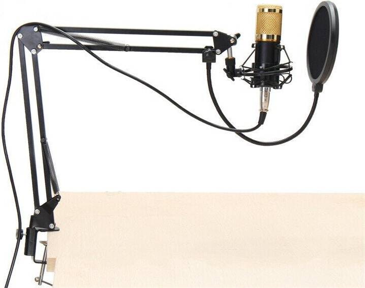 Greenzech Professional Condenser Microphone System Kit