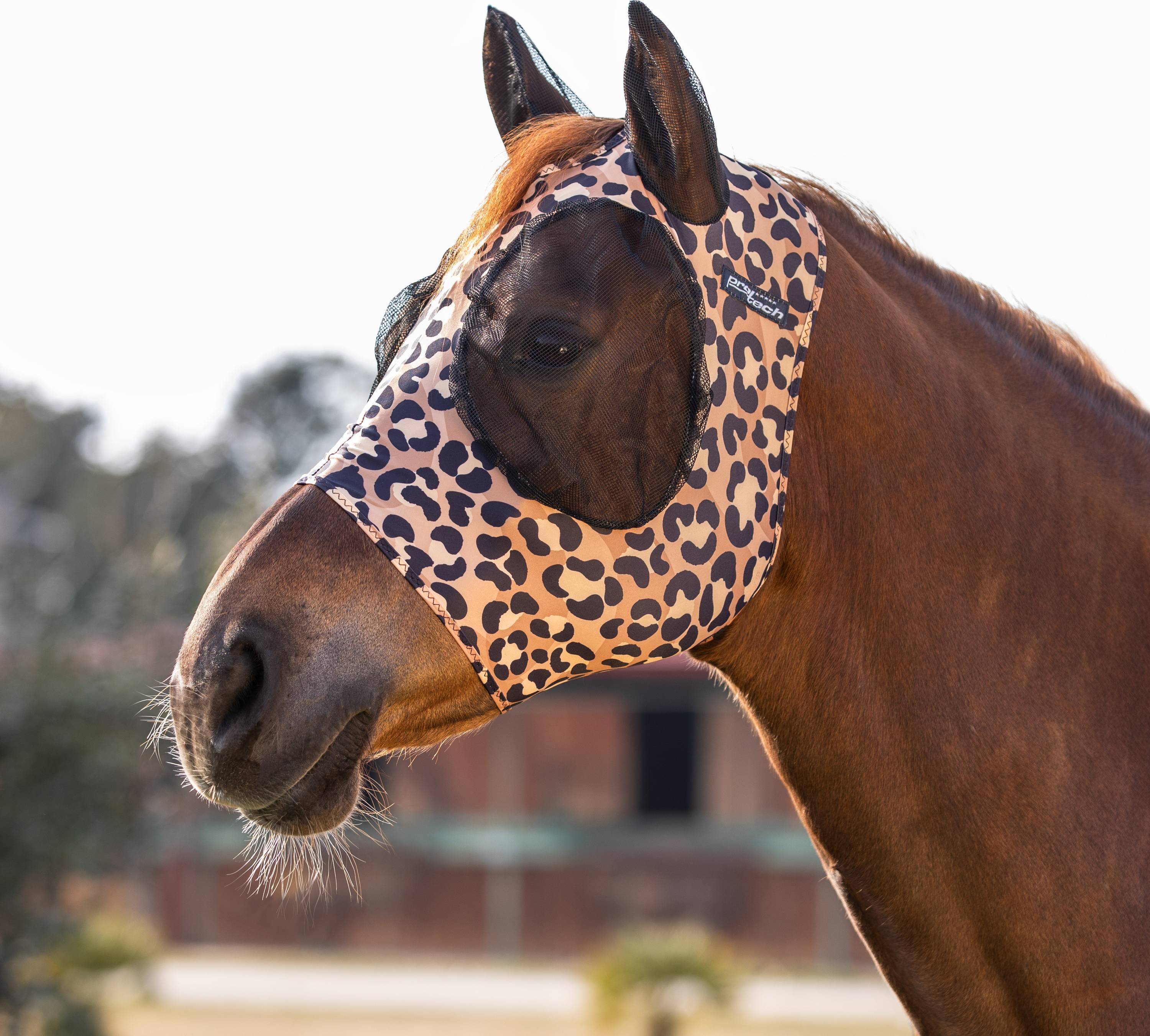 Pro-Tech Horse Fly Bonnet In Lycra With Ear Net - Jaune