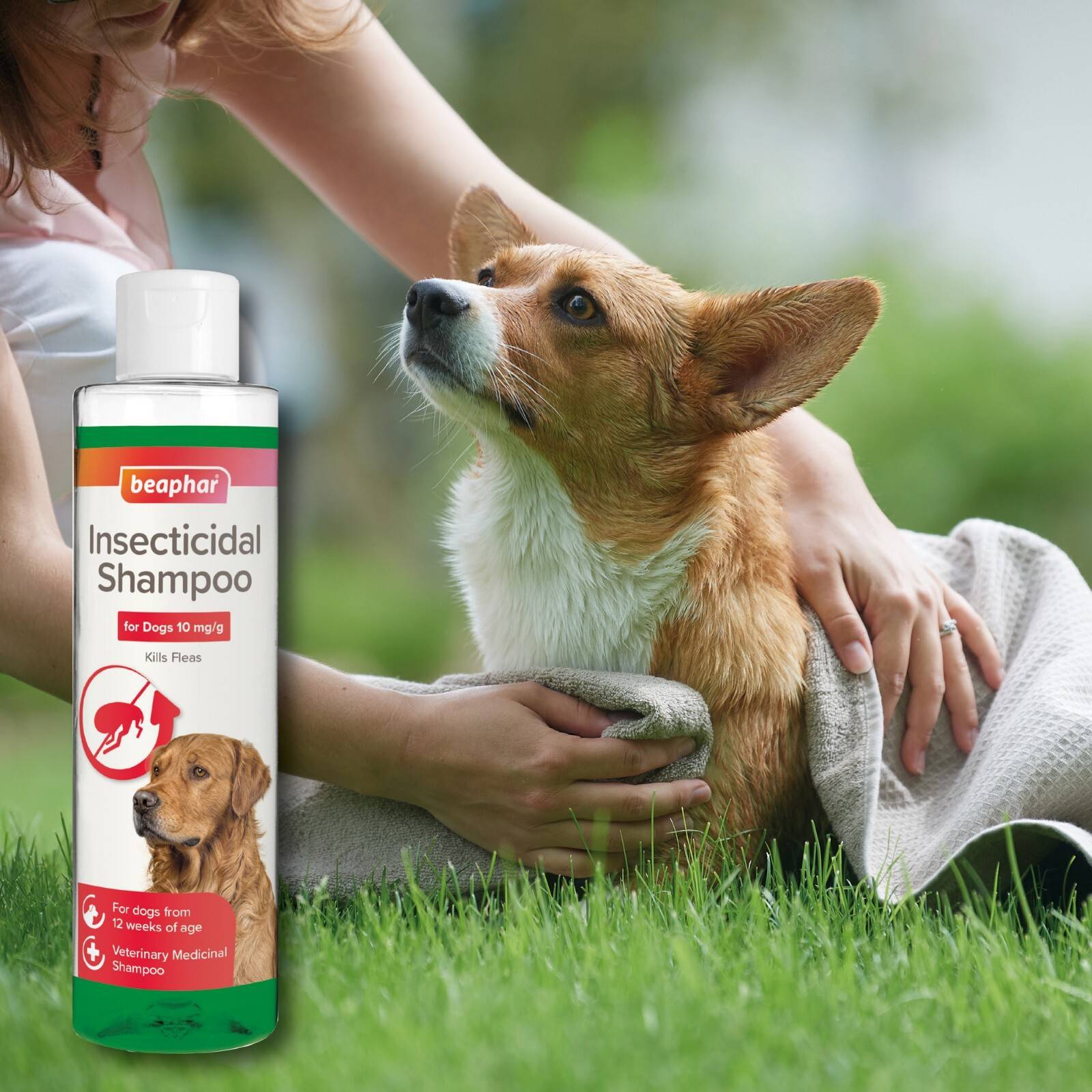 Beaphar Insecticidal Flea Shampoo 250ml