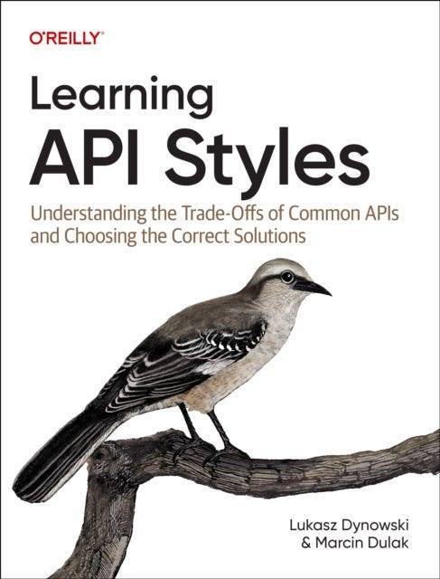 Learning API Styles Häftad Eng (Häftad)