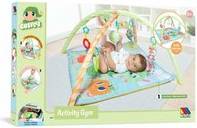 3 In 1 Activity Gym Multicolor