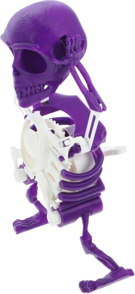 HKHBJS 2pcs Skeleton Shape Fidget Toy Toy