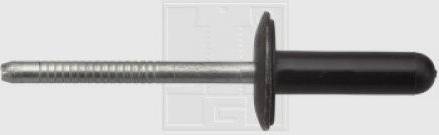 SWG Blind Rivet