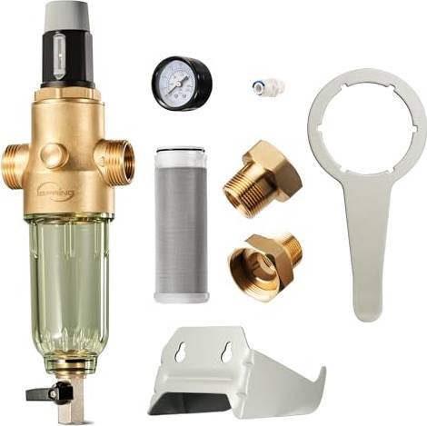 Spring iSpring WSP50PRG Außengewinde G1 Rückspülfilter mit Druckminderer