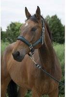 Norton Halter And Lead Rope Set For Large Horses - Vert