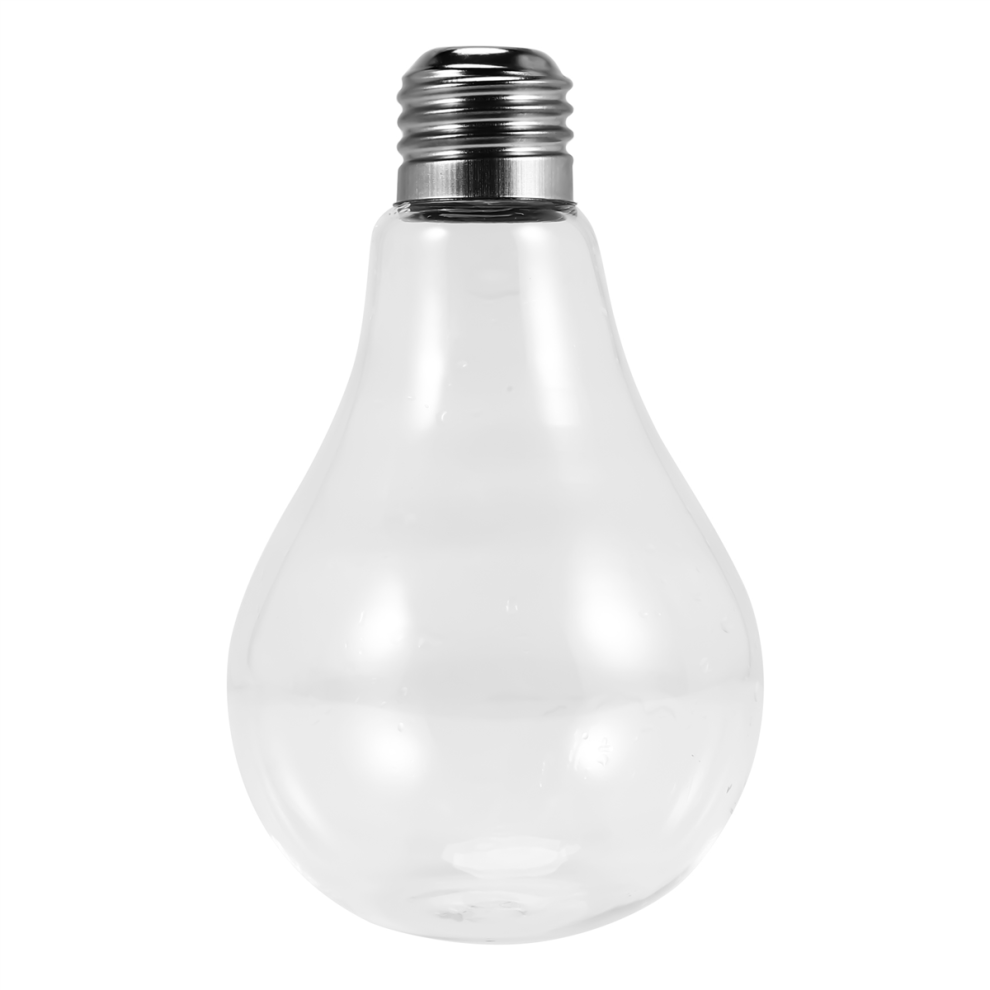 Typecat Transparent Glass Bulb Shape Table Vase