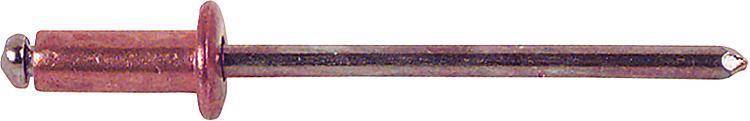 Gesipa Blind Rivet Steel Copper 500 Pcs