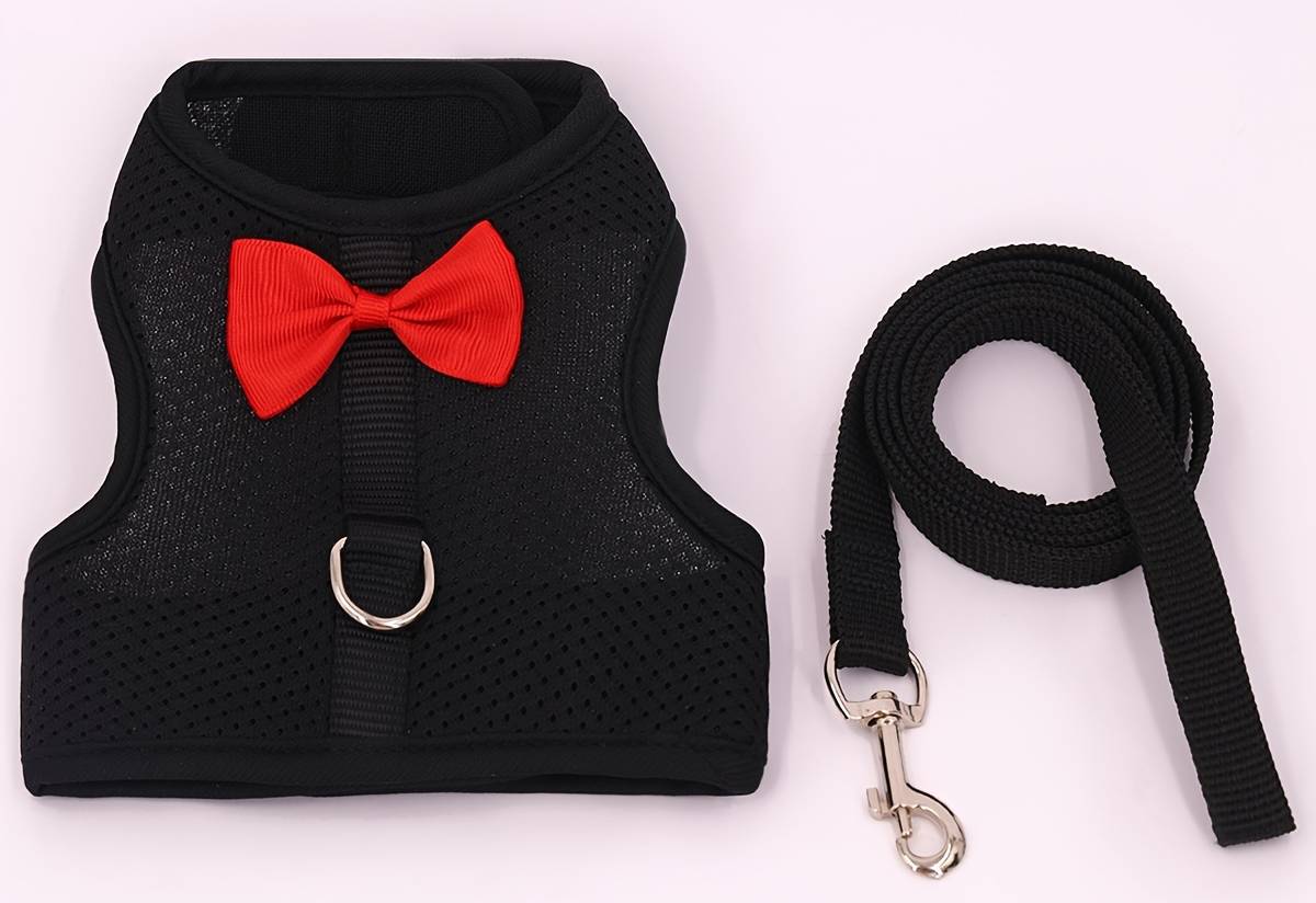Temu 1 Set Of Solid Rabbit Harness For Outing And Rabbit Leash To Prevent Loss