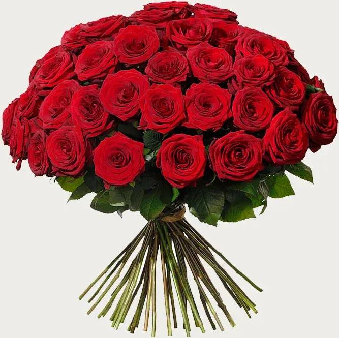 Interflora 50 Red Roses