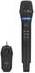 INF Microfono Wireless Con Ricevitore