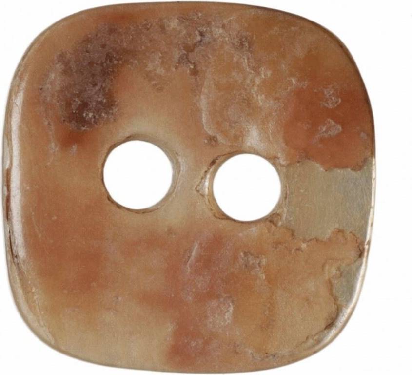 Hemline Square Shell Buttons Cream