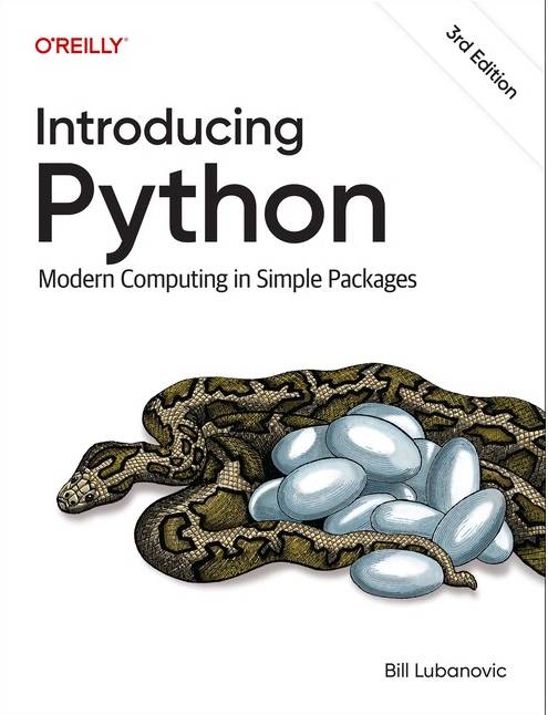 Introducing Python Modern Computing in Simple Packages Bog (Hæftet)