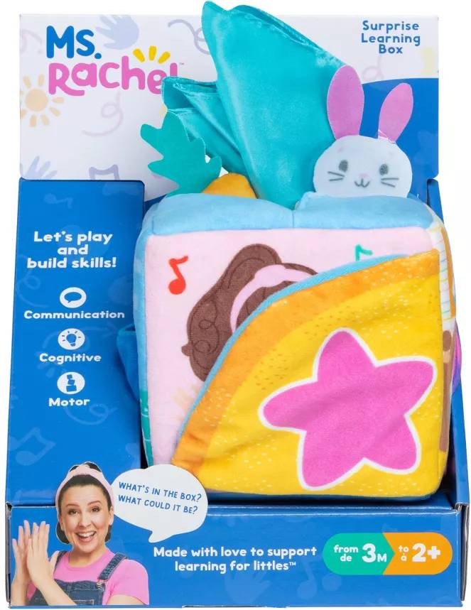 Ms Rachel Surprise Learning Box