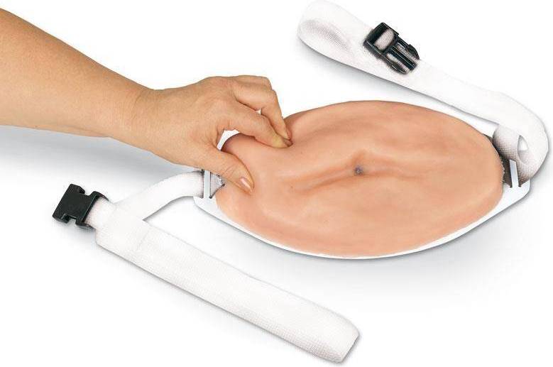 Advanced Injection Stomach Model