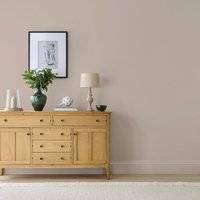 Pantry Stone Matte Emulsion Paint