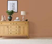 Nutmeg Matte Emulsion Paint