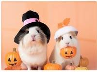 Warren Reed Trick Or Treating Guinea Pigs Multi One Size Chopping Board