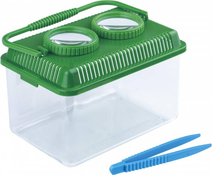 Spring Summer Observation Box