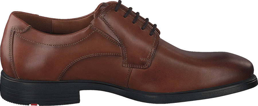LLOYD Kentucky - Chestnut Brown