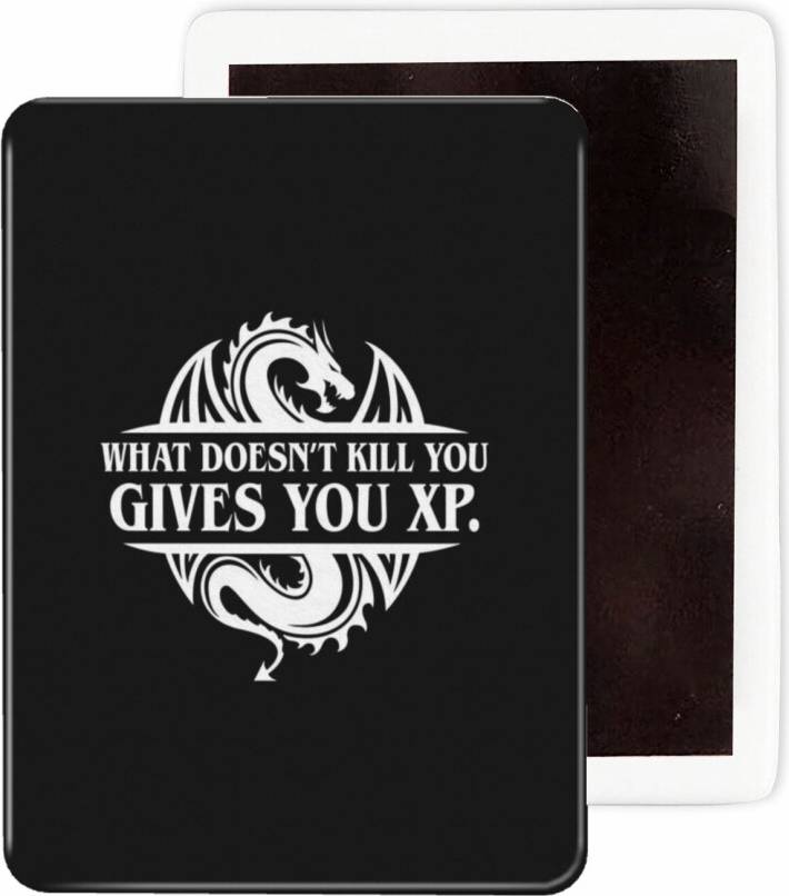 XP Tabletop RPG Gaming 227 Fridge Magnets