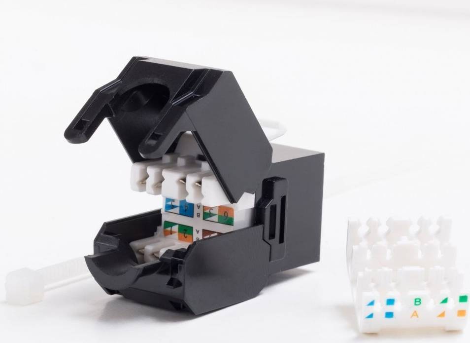 Netrack Modular Indlæg CAT 6 UTP RJ45 Sort