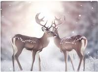 Warren Reed Reindeer In The Snow Multi One Size Chopping Board