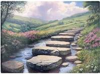 Warren Reed Stepping Stones Multi One Size Chopping Board