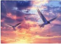 Warren Reed Dawn Flight Swallows At Sunrise Multi One Size Chopping Board