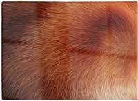 Warren Reed Red Panda Fur Print One Size Chopping Board 40cm