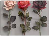 Pink roses Warren Reed 3 Red And Pink Roses Multi One Size Chopping Board