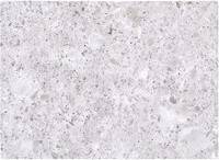 Warren Reed Light Grey Quartz Effect One Size Chopping Board