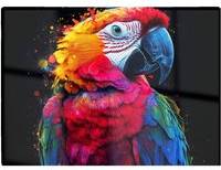 Warren Reed In A Splash Of Colour Multi One Size Chopping Board