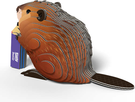 Beaver