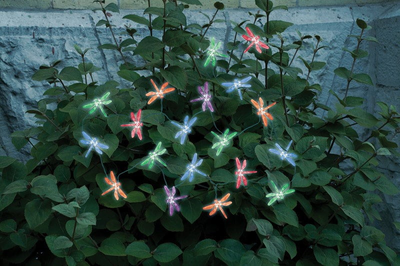 Solar String Lights 20 LED Changing Dragonflies