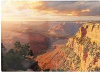 Warren Reed Grand Canyon Views Multi One Size Chopping Board
