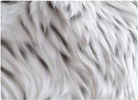 Warren Reed White Tiger Fur Design One Size Chopping Board