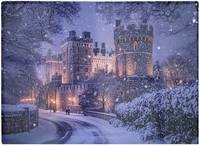 Warren Reed Winter's Tale At Windsor Castle Multi One Size Chopping Board 40cm