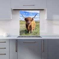 Warren Reed Highland Cow In Summer Kitchen Splashback 600mm x 750mm Splash Guard