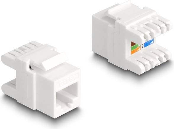 DeLock RJ-45 Hun Nøglestensmodul Hvid