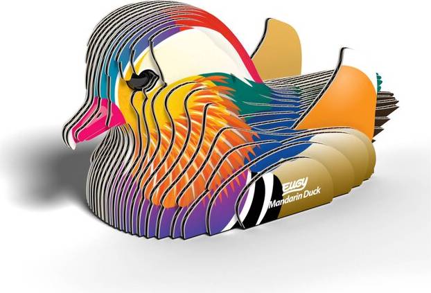 3D Mandarin Duck Model