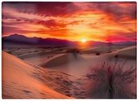 Warren Reed Sunset In The Desert Multi One Size Chopping Board