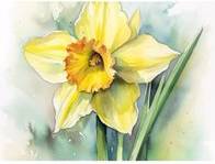 Warren Reed Watercolour Daffodil Multi One Size Chopping Board