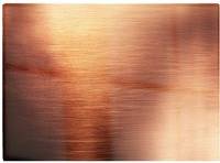 Warren Reed Copper Plate Textures Brown One Size Chopping Board