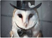 Warren Reed Owl In A Top Hat Multi One Size Chopping Board