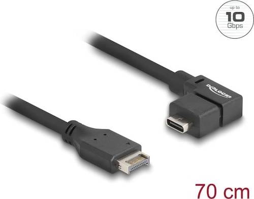 DeLock USB Kabel 70cm Sort